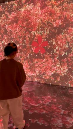 デジタルアートミュージアムの記事動画