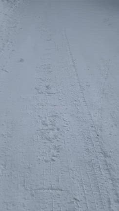 青森では国スポやってんだけど！死と隣り合わせの雪国の記事動画