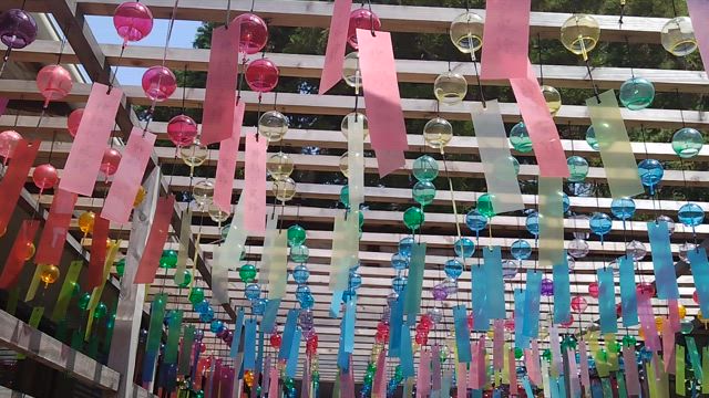 ♡七夕♡風鈴に癒されてきました♪の記事動画