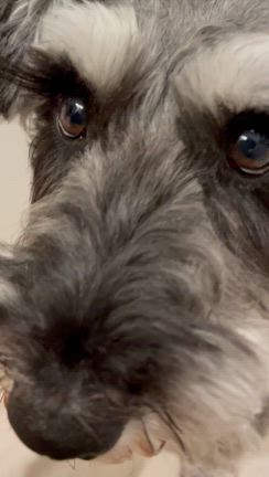 日比谷音楽祭 築地本願寺cafe朝定食 バディの同胎兄弟！！の記事動画