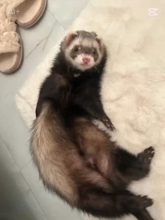 ののママさんのプロフィールページ