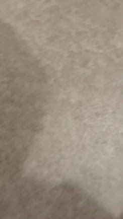 サンくんの記事動画