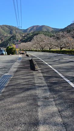 強風の中でしたが空気がキレイで景色は最高でした♪の記事動画