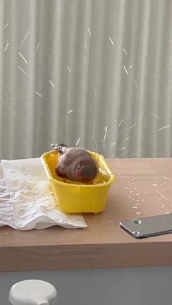 徹子の部屋の記事動画