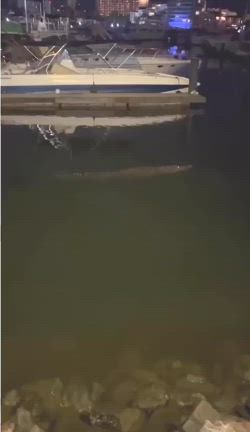 長い長い夏休みの記事動画