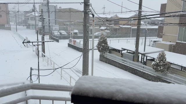 頭皮を200倍に拡大して見ると薄毛の原因が分かりますの記事動画