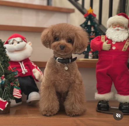 目標の記事動画