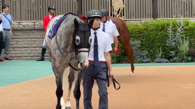 安田記念マッドクール10着、シックスペンス12着の記事動画