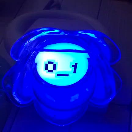 ZB1・ワルツ オーラス横浜参戦記①❤️当落とペンラ購入編の記事動画