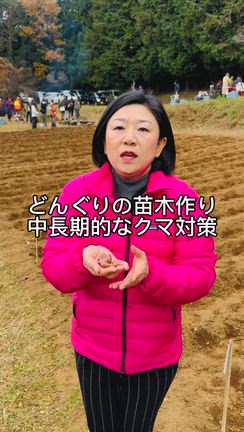 どんぐりの苗木作りの記事動画