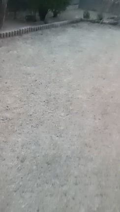 「食べる」のコントロールは簡単ではない？の記事動画