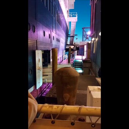 【ホリデーワンダーバンドと裏ジャンボリ】2024年11月クリスマスイン⑰の記事動画