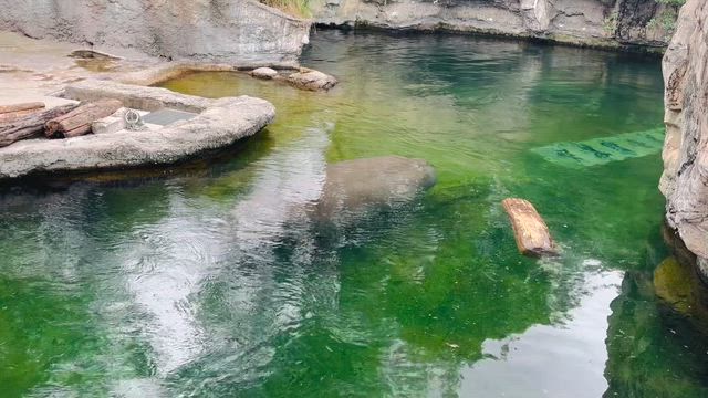 一枚　シリーズの記事動画