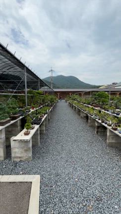 香川の旅へ^_^の記事動画