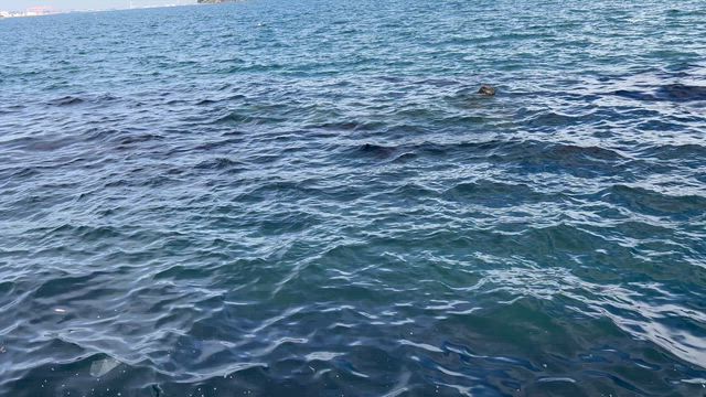 こんな日常が好きの記事動画