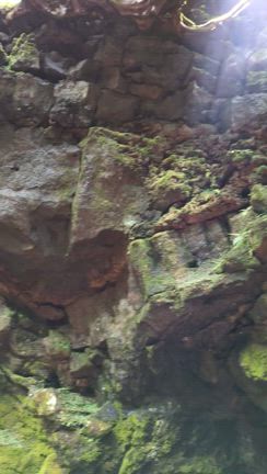 山梨の記事動画