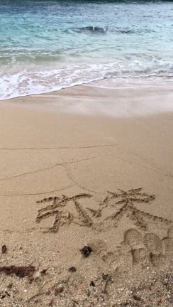 【目を閉じるワケミタマちゃん】　　オーダー続いてます♡の記事動画