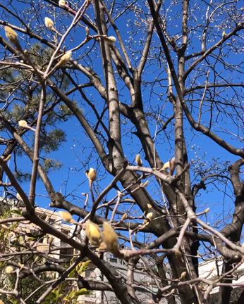 2025/02/11の記事動画