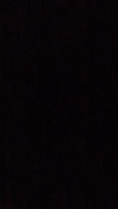 1月18日日曜日の記事動画