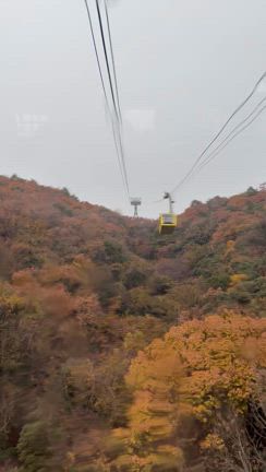 西国三十三所順打ち「西播磨の札所巡り」の記事動画