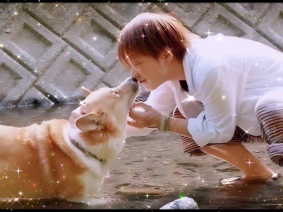 受け取っての記事動画