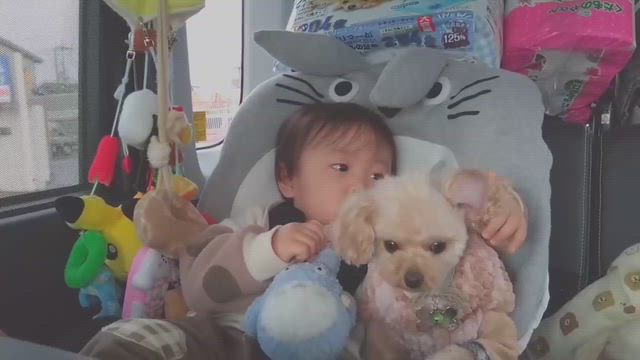 ビリーな1日の記事動画