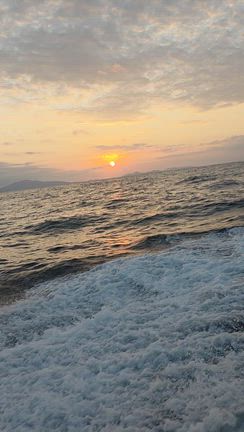 １６日の記事動画