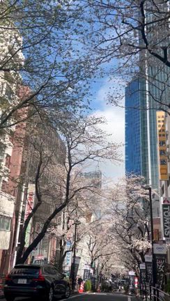 リーダー LIVEやるぞーヽ(´▽｀)/の記事動画