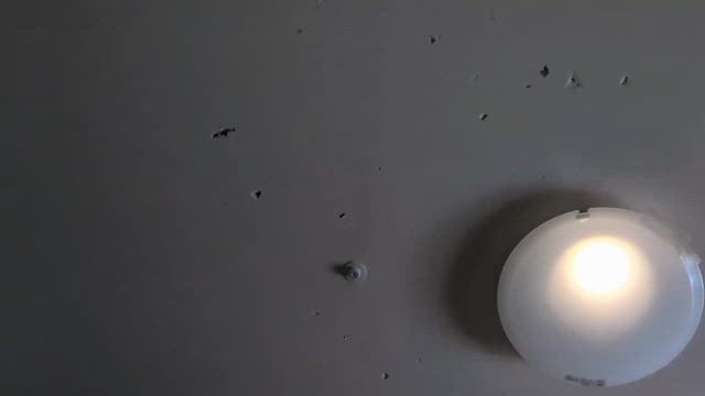 全然ダイエットにならない午後の記事動画