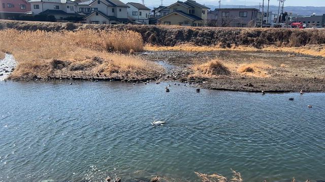 太郎さん⁉️の記事動画