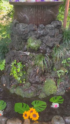 心新たにの記事動画