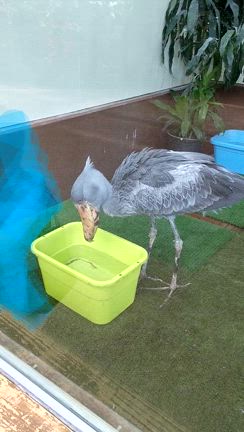 絶妙な間のとり方に悶絶の記事動画