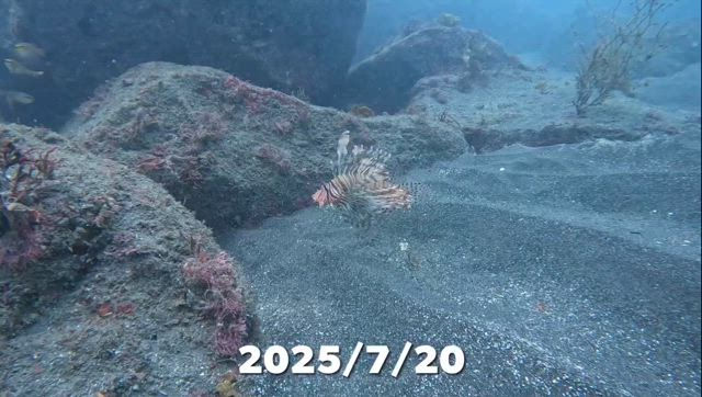 2025/07/24の記事動画