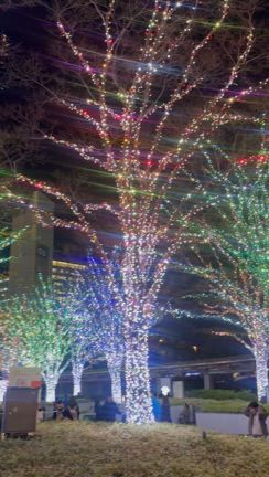 久々の妄想注意の記事動画