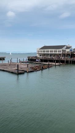 サンフランシスコ初日のお散歩　その3の記事動画