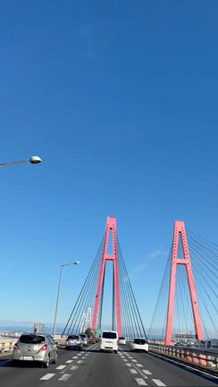 踊る橋の欄干の記事動画