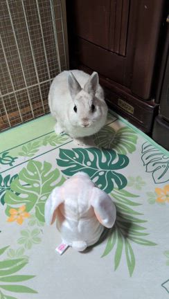 ともりんさんのプロフィールページ