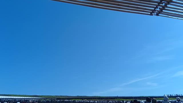 万博P &R駐車場利用で11回目の記事動画