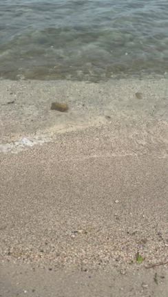 たまにはのんびり〜の記事動画