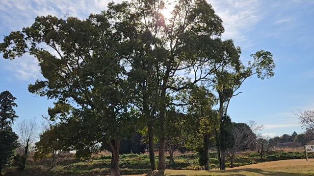 馬見丘陵公園の記事動画