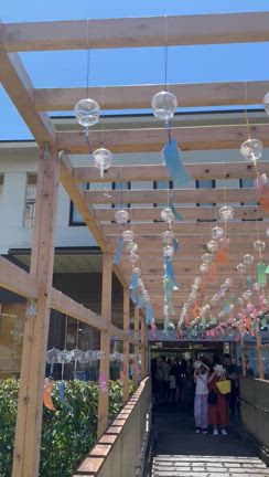 箱根〜身延ドライブの記事動画