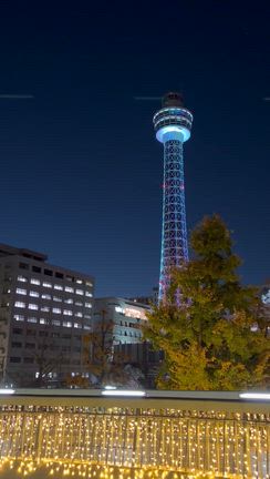 2025/12/10 食べたものの記事動画