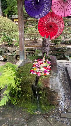 無病息災の黄金水の記事動画