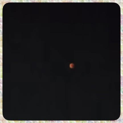 皆既月食でしたね♪動画撮りました♪の記事動画