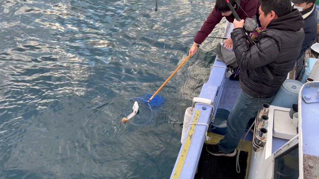 ⛄️冬将軍到来間近の記事動画