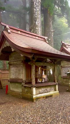 【奈良】「呼ばれた人しか辿り着けない」と言われている玉置神社 　秘境の十津川村の記事動画