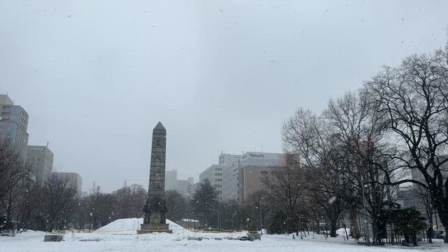 札幌３日目・セコマで朝食を& だるまでランチ！の記事動画