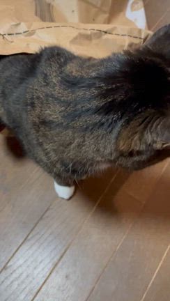 物資のご支援　ありがとうございます❗️の記事動画