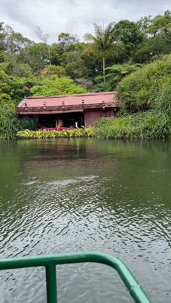 ビオスの丘の記事動画