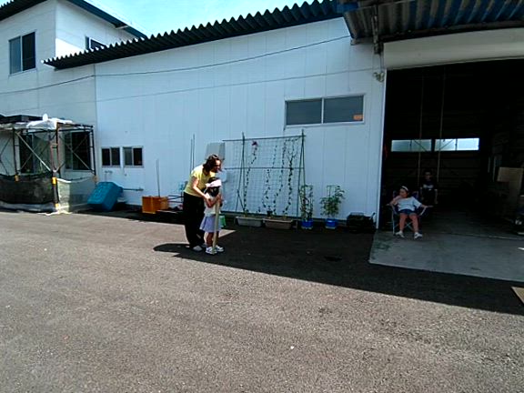 スイカ割りの記事動画